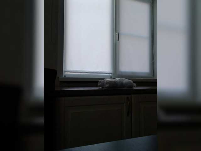 Lakomka099's BongaCams show and profile