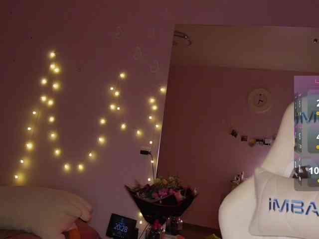 shurup4ik webcam