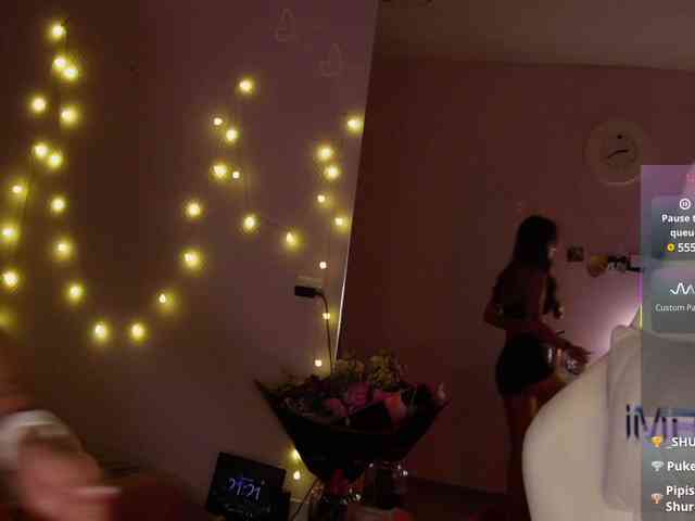 shurup4ik webcam