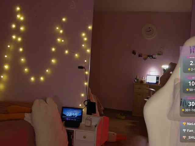 shurup4ik webcam
