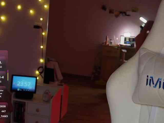 shurup4ik webcam