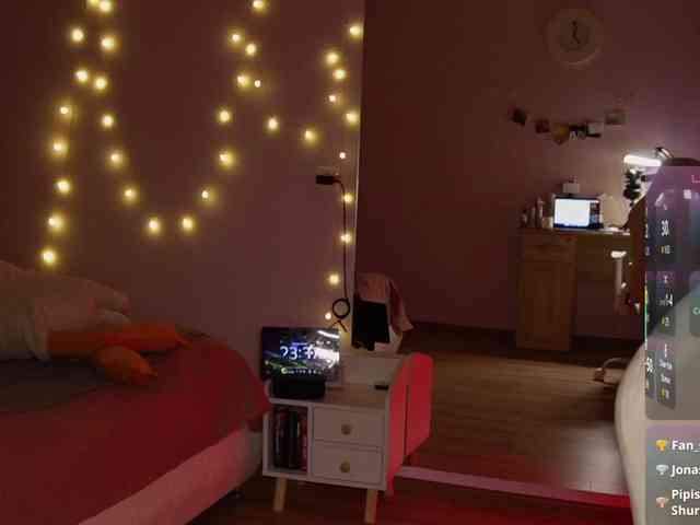 shurup4ik webcam