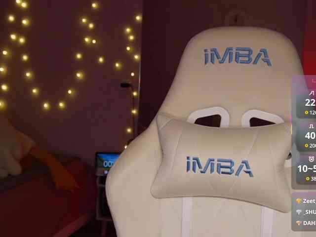 shurup4ik webcam