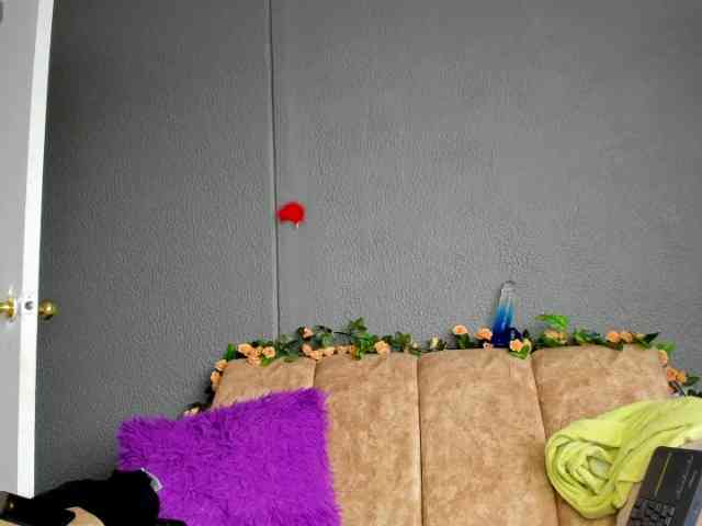 NatashaMilf webcam