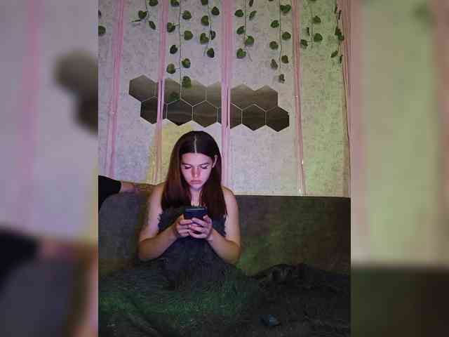 LION_HEART webcam