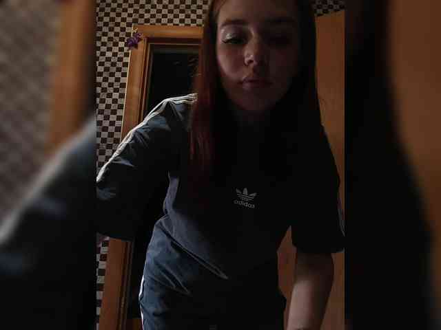 LION_HEART webcam