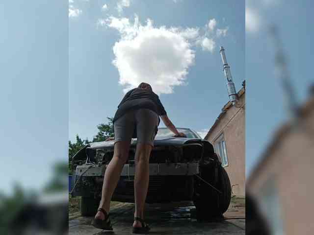 LION_HEART webcam