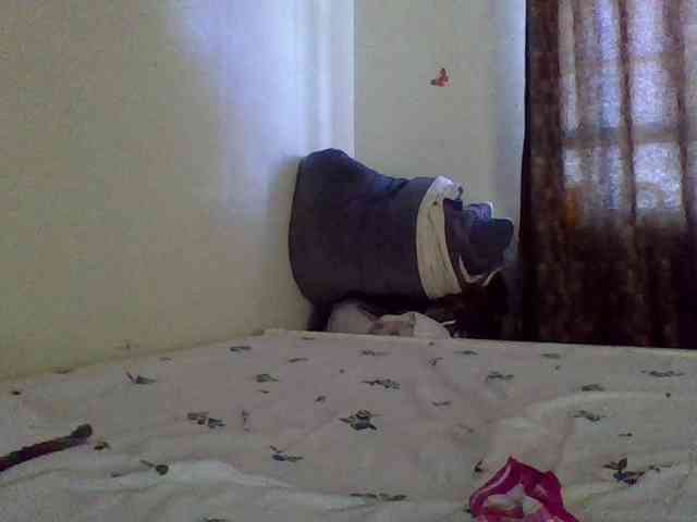 QueenJacky QueenJacky