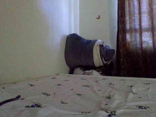 QueenJacky QueenJacky