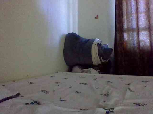 QueenJacky QueenJacky