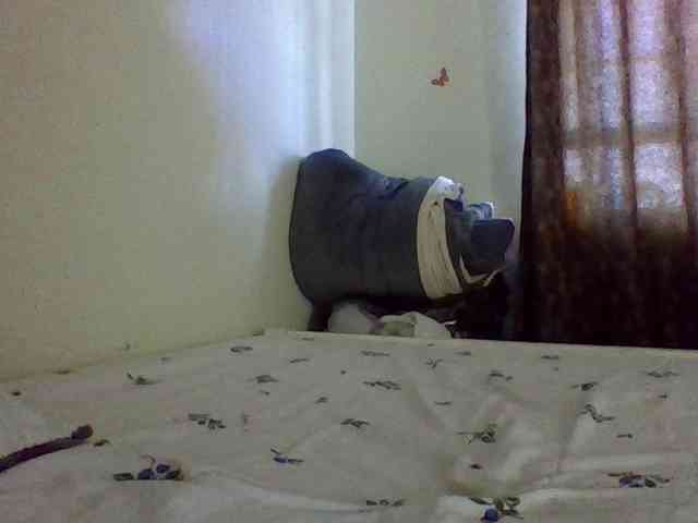 QueenJacky QueenJacky