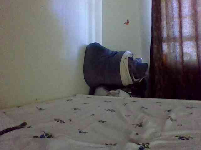 QueenJacky QueenJacky