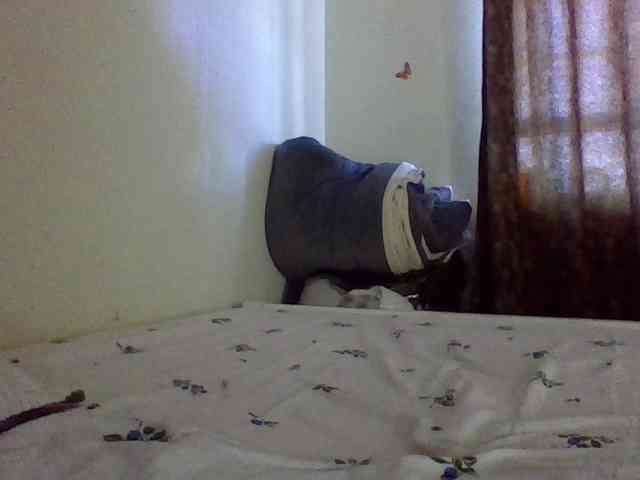 QueenJacky QueenJacky