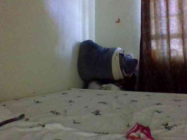 QueenJacky QueenJacky