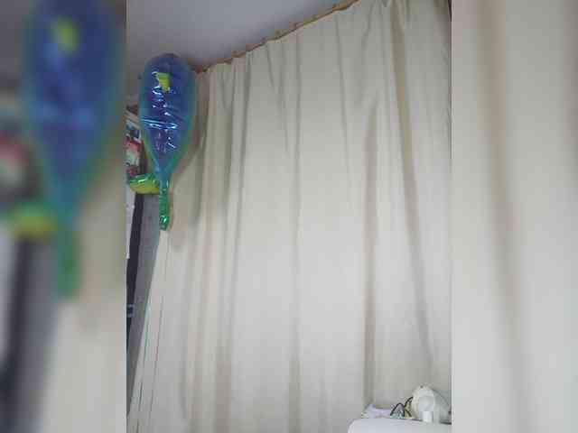 SurfinBird webcam