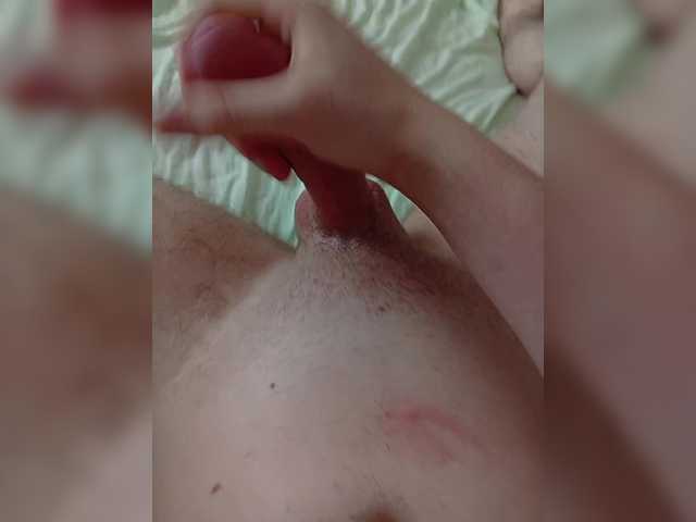 18cm-cock