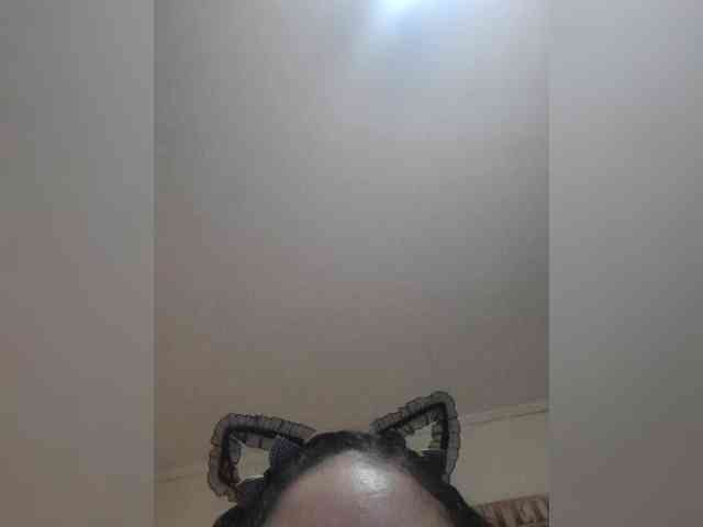 exxxoticat