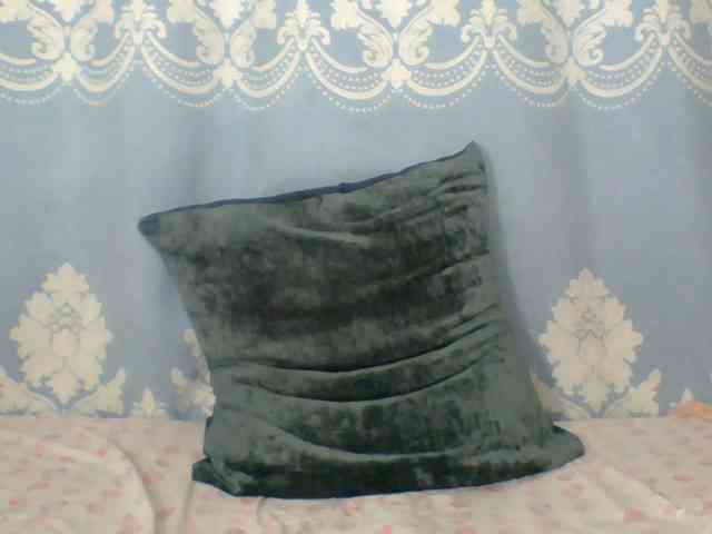 Prettydarksin webcam