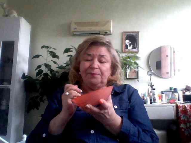 rekelme webcam