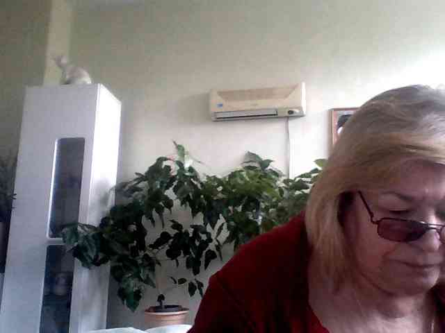 rekelme Live Webcam on BongaCams