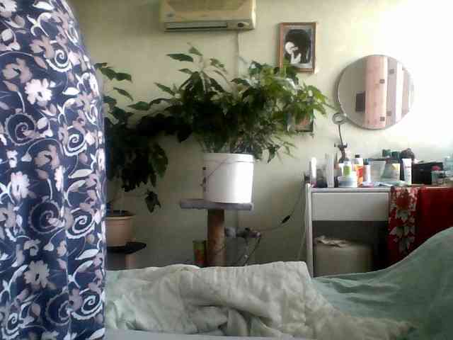 voyeur video chat Rekelme
