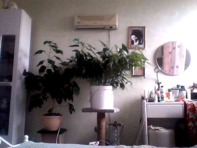 rekelme webcam