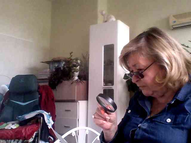 rekelme webcam