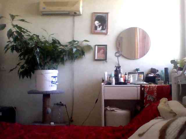 rekelme webcam