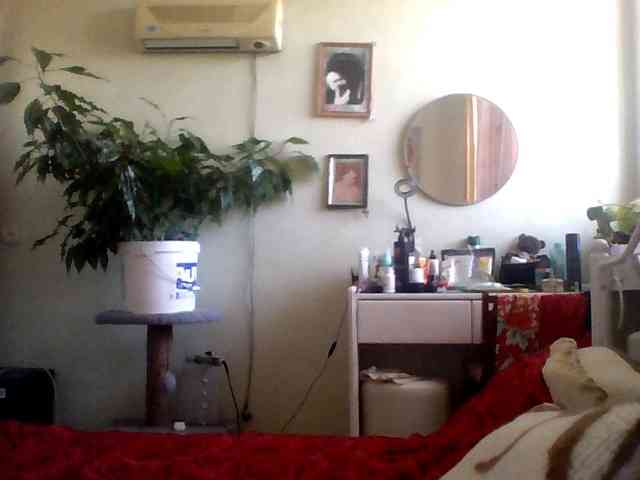 rekelme webcam