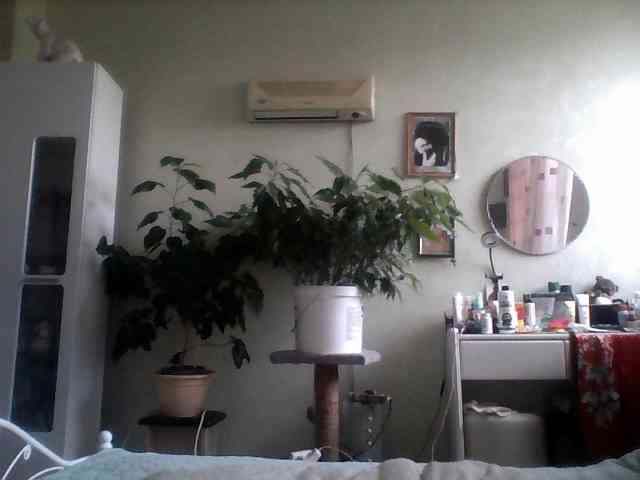 rekelme webcam