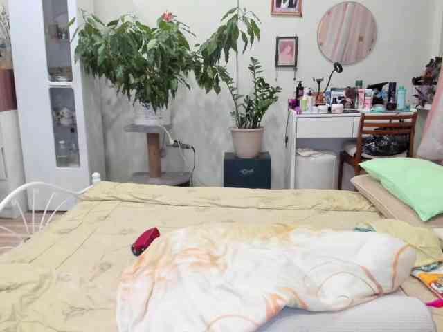 rekelme webcam