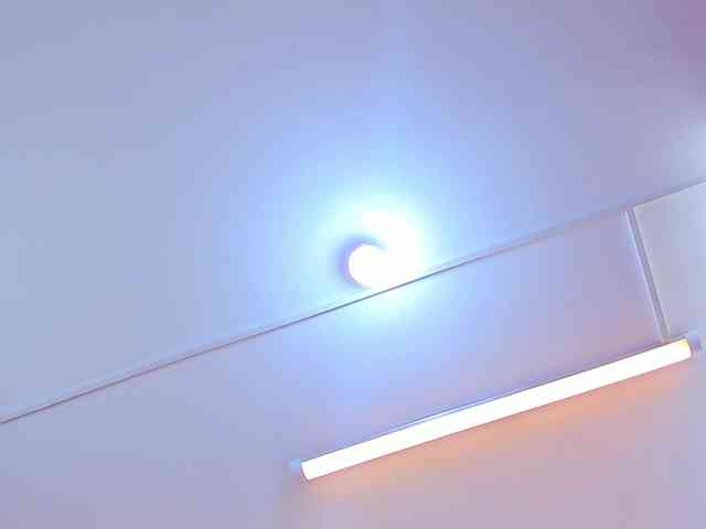 ValentinaColleman ValentinaColleman