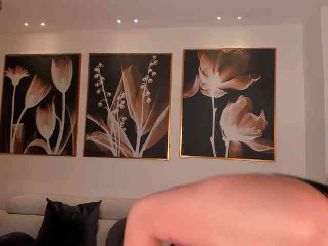 AriTylor webcam