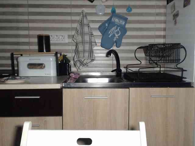 DanielleReys webcam