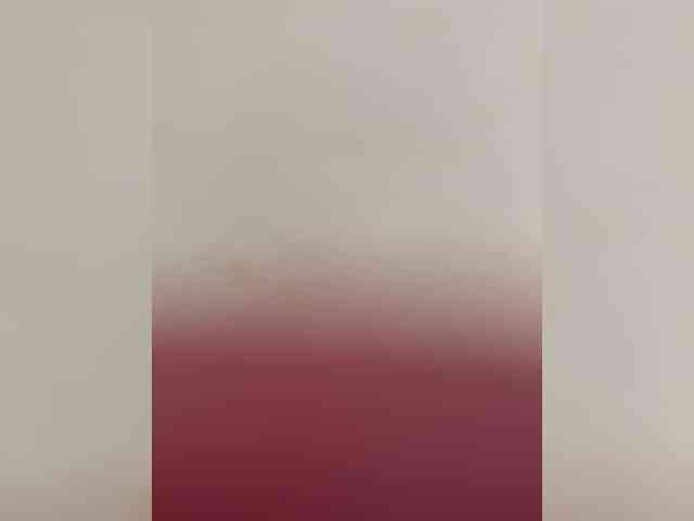 PornoRabbits webcam