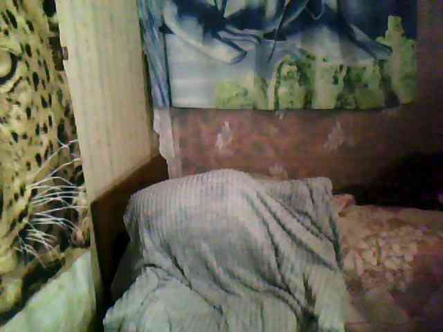 Tanuhka webcam
