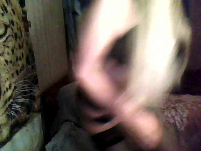 Tanuhka webcam