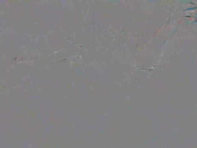 Sexy6969 from BongaCams is Freechat