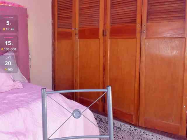 rous-cooper webcam