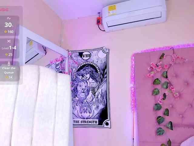 rous-cooper webcam