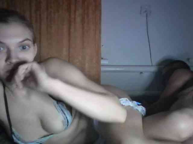 ParaFox webcam