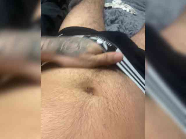 HAbibY13 Live Webcam on BongaCams