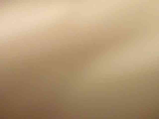 SherrySquirts webcam
