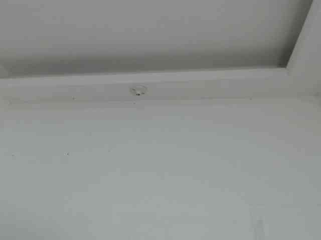 marilyn-beautifullyhairy webcam