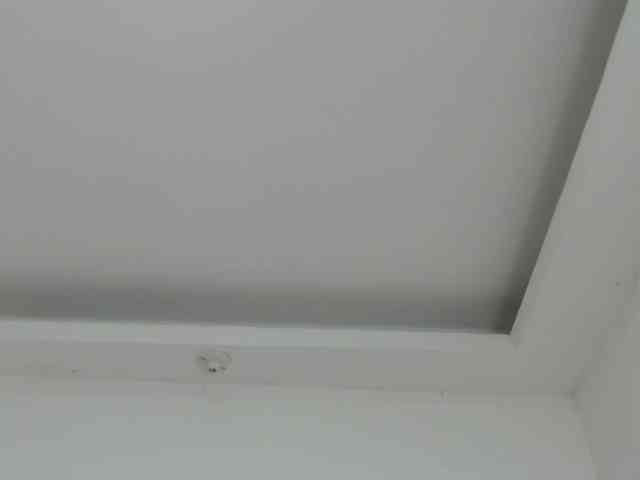 marilyn-beautifullyhairy webcam