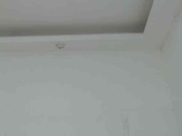 marilyn-beautifullyhairy webcam