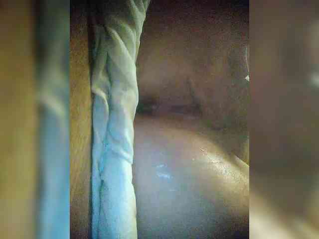 Selina-Lily webcam