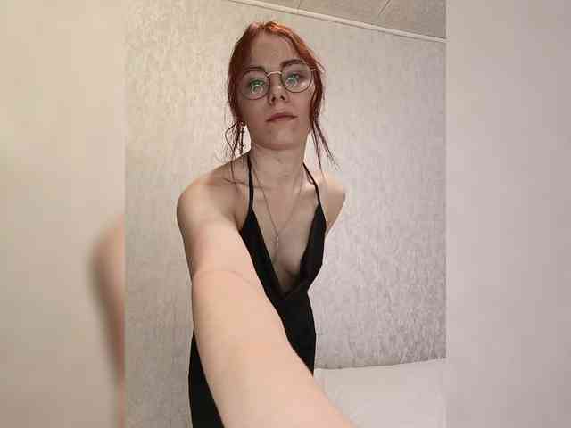 FoxSht webcam