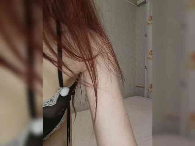 FoxSht webcam
