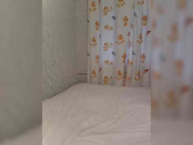 FoxSht webcam